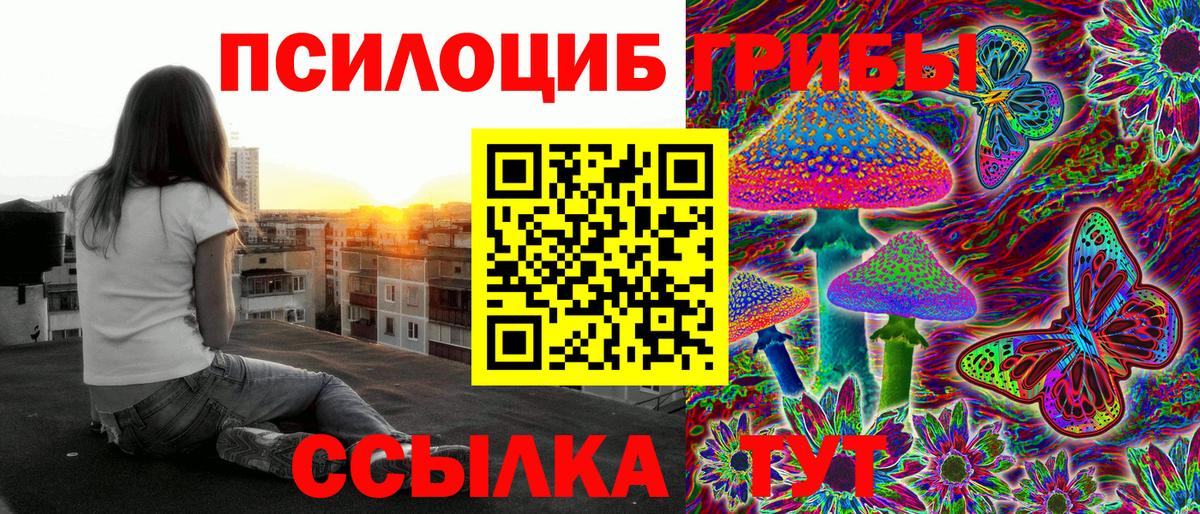 Псилоцибиновые грибы мухоморы Пугачёв